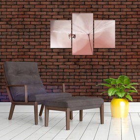 Kép - Egy csepp harmat (90x60 cm)