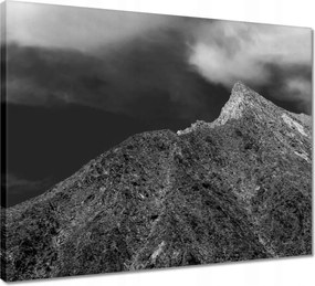 Vászonkép 50x40 Anza-Borrego Állami Park