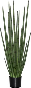 Pottery Pots Realisztikus műnövény Sansevieria cylindrica, több méretben - PotteryPots méret: M - ø 30 cm | m. 120 cm