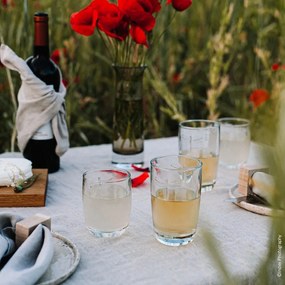 Libellules üvegpohár, 350 ml - La Rochère