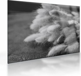 Üveg kép - nyúlfarknyi fű az asztalon (70x50 cm)