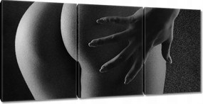 Vászonkép 210x100 Alakú popsi Akt