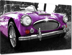 Festmények 120x80 Austin Healey 3000