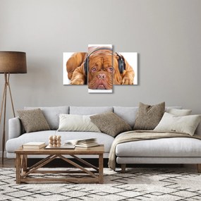 Kép egy kutya fejhallgatóval (90x60 cm)