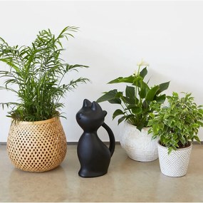 Műanyag locsolókanna 2 l Meow – Balvi
