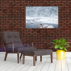Hattyú képe (90x60 cm)