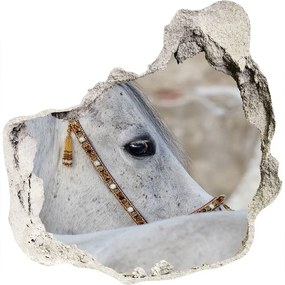 Fali matrica lyuk a falban Fehér arab ló nd-p-143185113