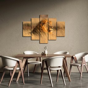 Kép - Etosha Nemzeti Park (150x105 cm)