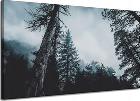 Vászonkép Természet Koronák Fák Erdő 120x70 cm