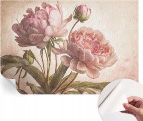 Dekoratív öntapadós fotótapéta irodába Finom bazsarózsa 152x104 cm