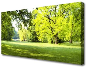 Vászonkép Grass Fák Natúrpark 100x50 cm