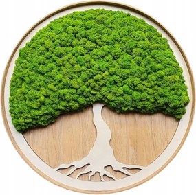 Moha kép Moha Krobot Tölgyfa keretben nagy 50cm Élő Fa kép XL