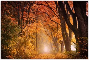 Poszterek 120x80 Őszi kilátás