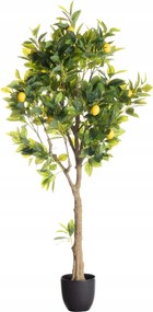 Citromfa 146cm 18 x 18 x 146 cm