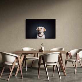 Labrador képe (90x60 cm)
