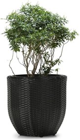 LILY Virágcserép - antracit