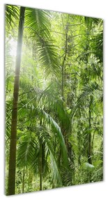 Üvegfotó Az esőerdő osv-72098525
