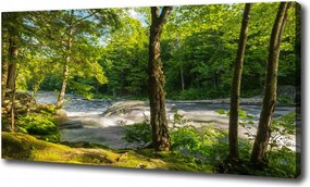 Vászonkép Folyó az erdőben 100x70 cm
