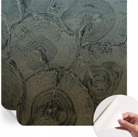 Öntapadós tapéta Divatos 3D fali ragasztóval Fa tégelyek 250x250 cm