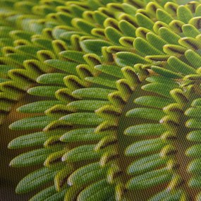 Kép - Fern (120x50 cm)