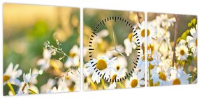 Kép - Százszorszépek (órával) (90x30 cm)