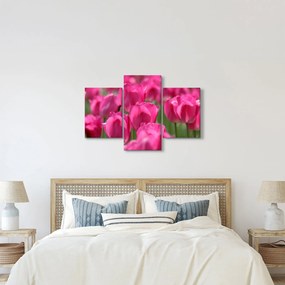 Kép - Rózsaszín tulipánok (90x60 cm)