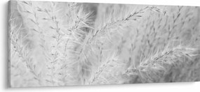 Kép - Pampafű N⁰1 (120x50 cm)