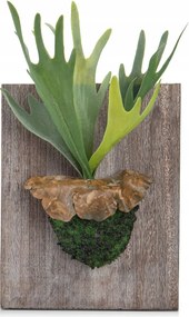 Oairse Műnövény 34 cm, műpáfrány felszarvazott virágágyással