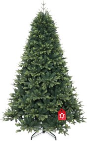 Nepal lucfenyő 240 cm