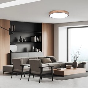 Solight WO8005 - LED lámpa IRON OAK LED/48W/230V 3000-6500K 40 cm + DO