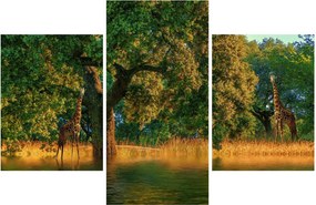 Zsiráf a természetben képe (90x60 cm)