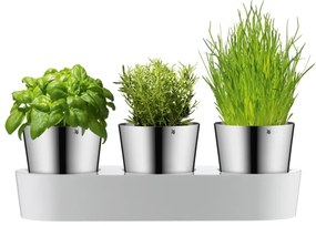 WMF - Önöntöző fűszernövény cserép 3db GOURMET fehér/rozsdamentes