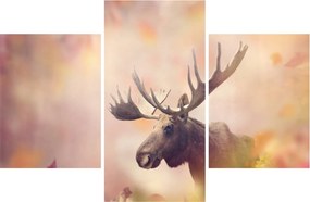 Kép - jávorszarvas az őszi levelekben (90x60 cm)