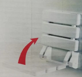 BISK Erga Handicap PRO, falra szerelhető zuhanyülőke összecsukható 320x328 mm, fehér, ERG-07623