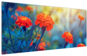 Kép - Narancssárga virágok (120x50 cm)