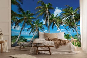 Fás tengerpart poszter, fotótapéta Vlies (254 x 184 cm)