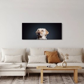 Labrador képe (120x50 cm)