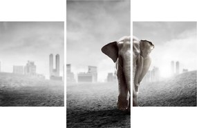 Kép -Elefánt egy nagyvárosban, fekete-fehér változat (90x60 cm)