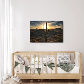 Kép - kaktuszok a napon (90x60 cm)