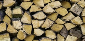 Poszter 91,3x44,5cm Fa rönkök, Assaf Frank