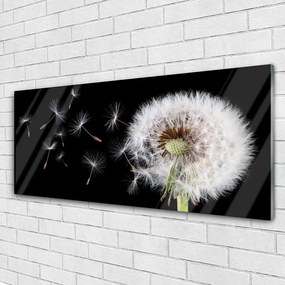 Fali üvegkép Pitypang 120x60cm