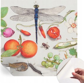 Fotótapéta Öntapadós tapéta a szobába Természeti illusztráció 250x250