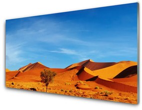 Akril üveg kép Fekvő sivatagi homok 100x50 cm