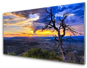 Üvegkép falra fa Sunset 100x50 cm