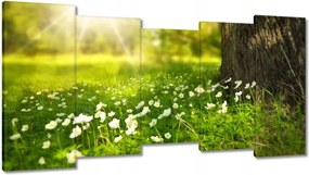 Festmények 150x80 Sugárzás a réten