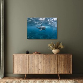 Kép - Delfin a felszín alatt (üvegen) (70x50 cm)
