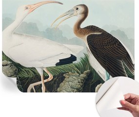 Öntapadós fotótapéta Nappaliba és Hálószobába Madárpár 208x146 cm