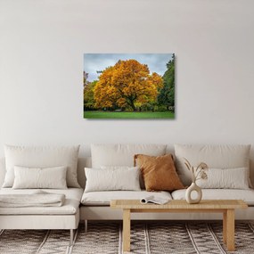 Fa képe (üvegen) (70x50 cm)