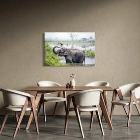 Kép - Fürdőző elefánt (90x60 cm)