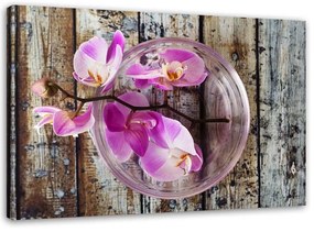 Gario Vászonkép Orchidea deszkák hátterében Méret: 60 x 40 cm